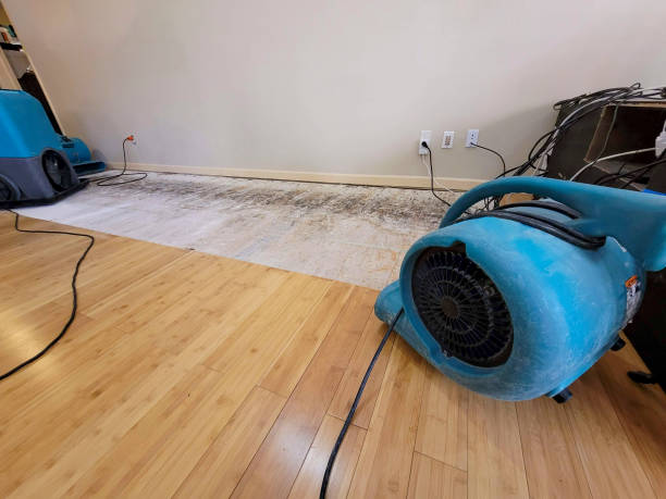 Professional Flood Damage Cleanup technician working in Milford, MI